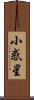 小惑星 Scroll