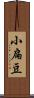 小扁豆 Scroll