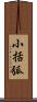 小括弧 Scroll