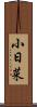小日菜 Scroll