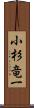 小杉竜一 Scroll