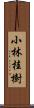 小林桂樹 Scroll