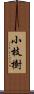 小枝樹 Scroll