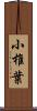 小椎葉 Scroll