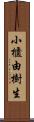 小櫃由樹生 Scroll