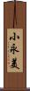 小永美 Scroll