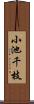 小池千枝 Scroll