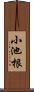 小池根 Scroll