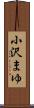 小沢まゆ Scroll