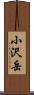 小沢岳 Scroll