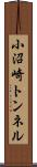小沼崎トンネル Scroll