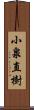 小泉直樹 Scroll