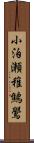 小泊瀬稚鷦鷽 Scroll