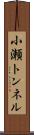 小瀬トンネル Scroll