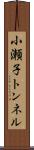 小瀬子トンネル Scroll