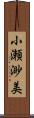 小瀬渺美 Scroll