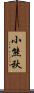 小熊秋 Scroll