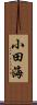 小田海 Scroll
