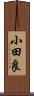小田良 Scroll