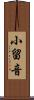 小留音 Scroll