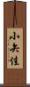 小矢佳 Scroll