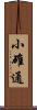 小碓通 Scroll