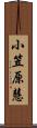 小笠原慧 Scroll