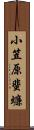 小笠原蜚蠊 Scroll