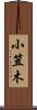 小笠木 Scroll