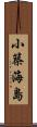 小築海島 Scroll