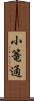 小篭通 Scroll