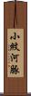 小紋河豚 Scroll