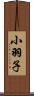 小羽子 Scroll
