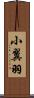 小翼羽 Scroll