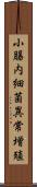 小腸内細菌異常増殖 Scroll