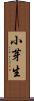 小芽生 Scroll