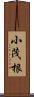 小茂根 Scroll