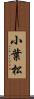 小葉松 Scroll