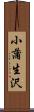 小蒲生沢 Scroll