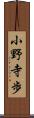 小野寺歩 Scroll