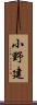 小野建 Scroll