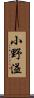小野溢 Scroll