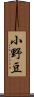 小野豆 Scroll