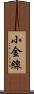 小金線 Scroll