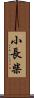 小長柴 Scroll