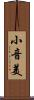 小音美 Scroll