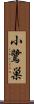 小鷺巣 Scroll