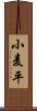 小麦平 Scroll