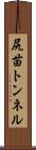 尻苗トンネル Scroll