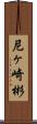 尼ヶ崎彬 Scroll